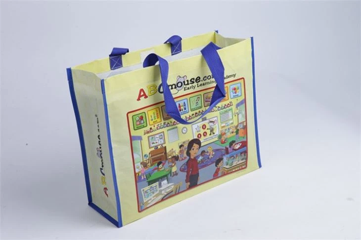 Rpet Bags