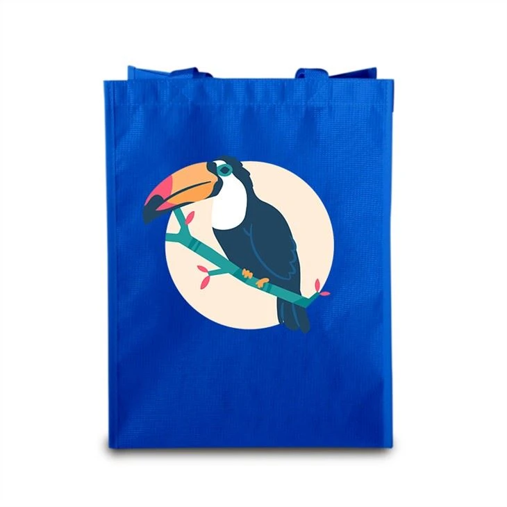 Fashionable Recycled Rpet Bag